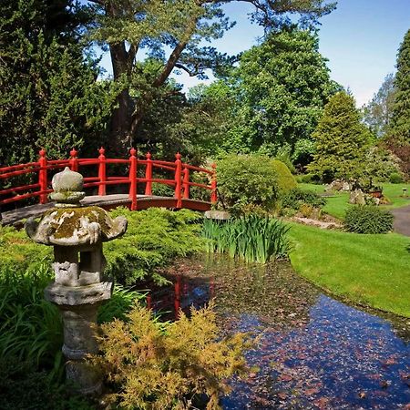 The Curragh Country House Accommodation นิวบริดจ์ ภายนอก รูปภาพ