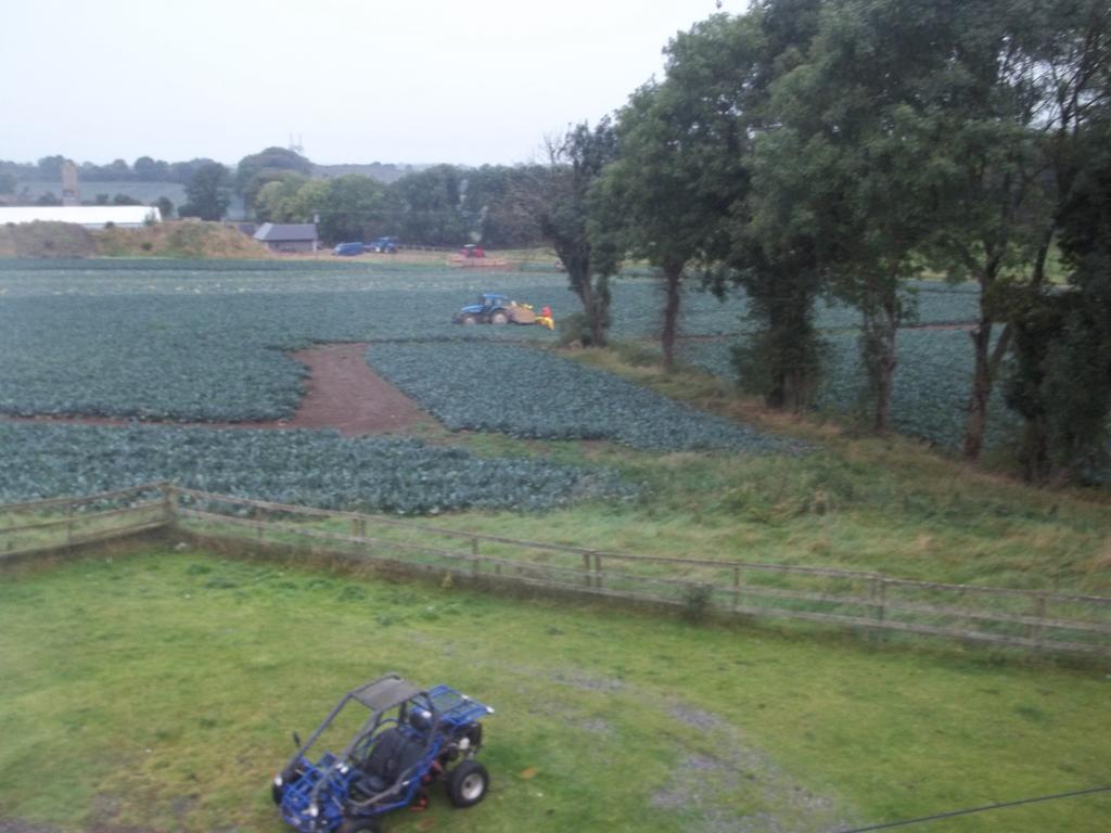 The Curragh Country House Accommodation นิวบริดจ์ ห้อง รูปภาพ