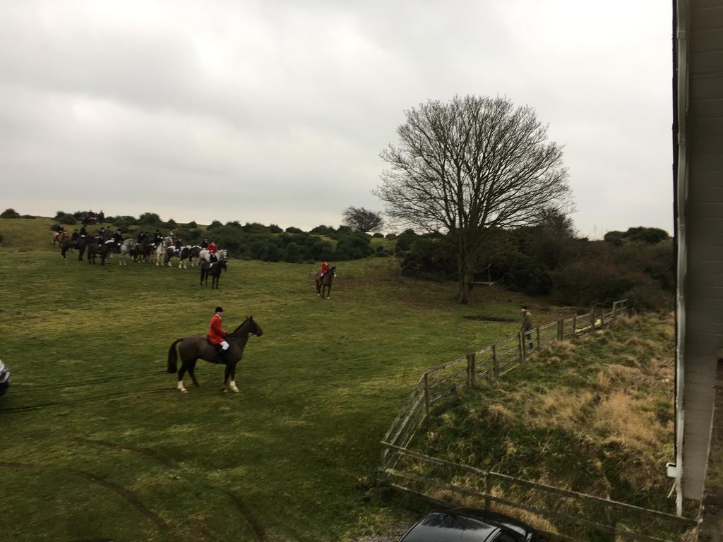 The Curragh Country House Accommodation นิวบริดจ์ ภายนอก รูปภาพ